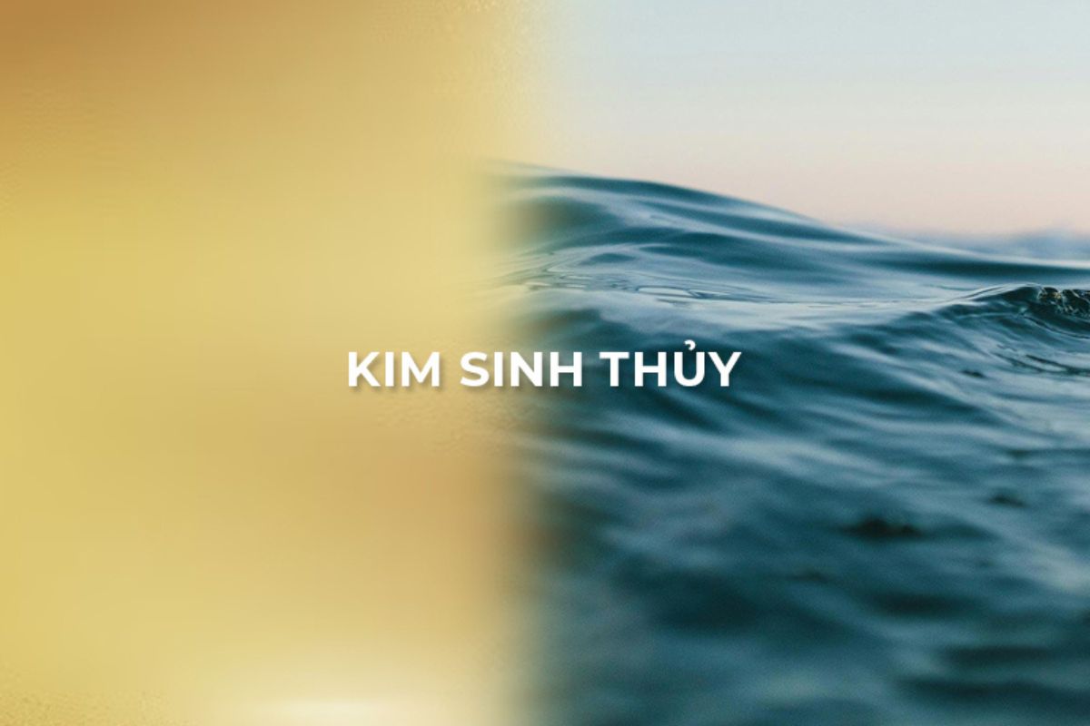 Phong thủy nhà ở cho người mệnh Thủy 2026: Cách bố trí & hóa giải hướng xấu 3 Nắm vững quy luật ngũ hành là chìa khóa để thiết kế nhà hợp mệnh Thủy và tránh những yếu tố gây xung khắc (Ảnh: Sưu tầm)