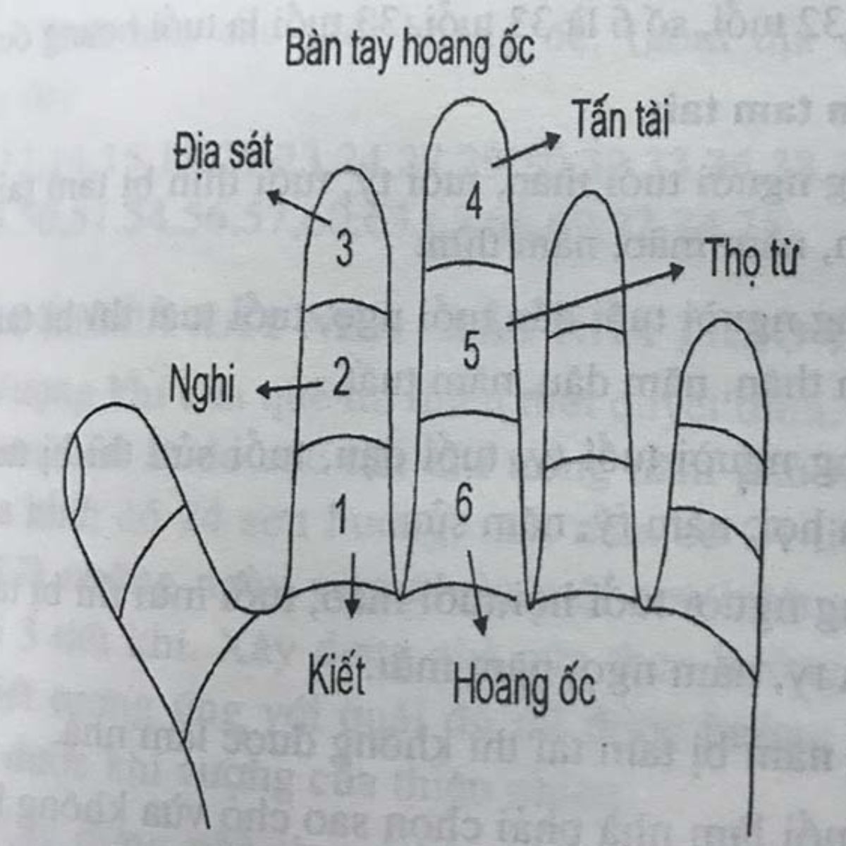 Tính đúng tuổi mụ giúp tránh nhầm lẫn giữa Tứ Tấn Tài và cung Ngũ Thọ Tử (Ảnh: Sưu tầm)