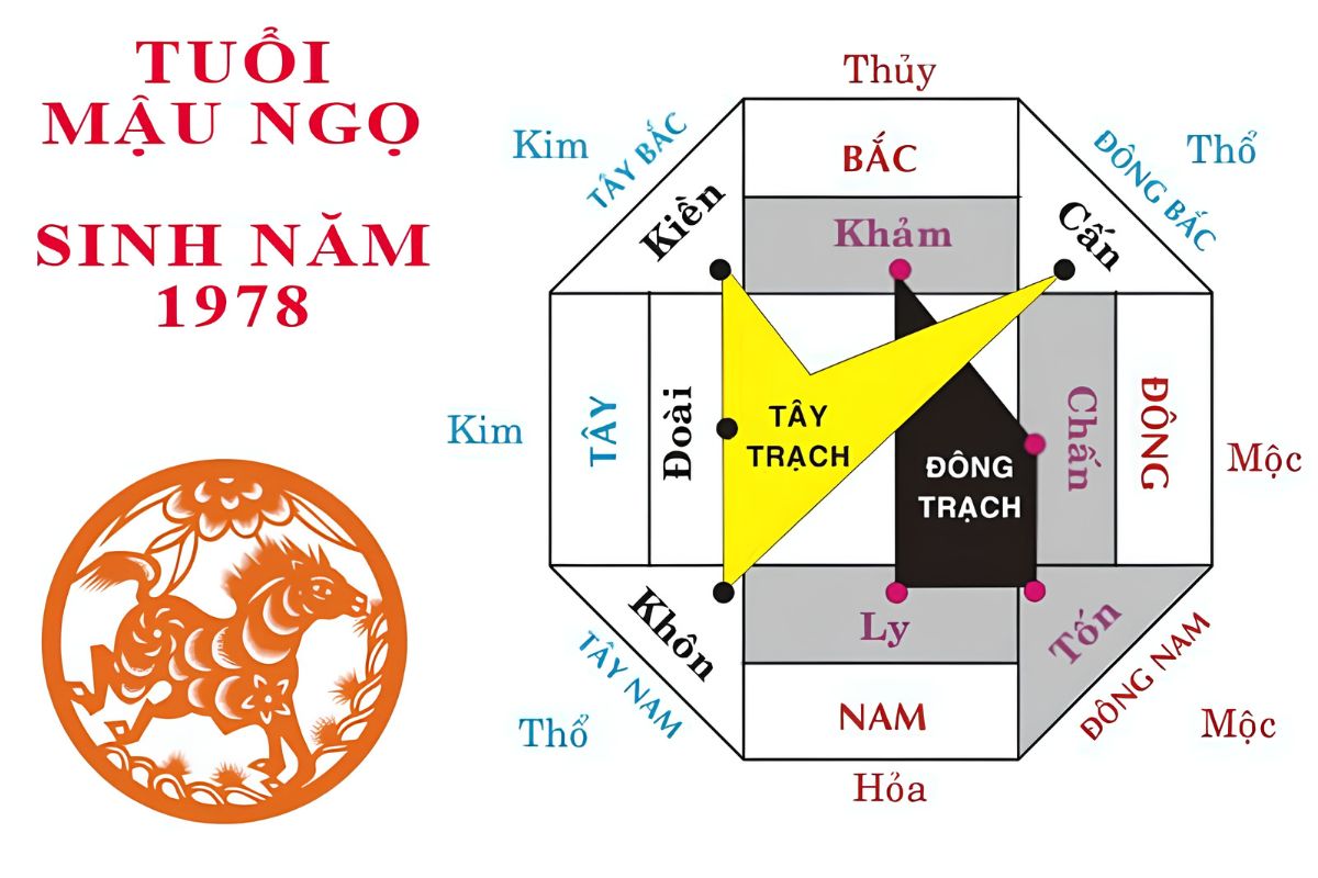 Muốn biết Mậu Ngọ xây nhà hướng nào tốt năm 2026, cần phân biệt nam mạng Tốn Mộc và nữ mạng Khôn Thổ theo cung phi (Ảnh: Sưu tầm)