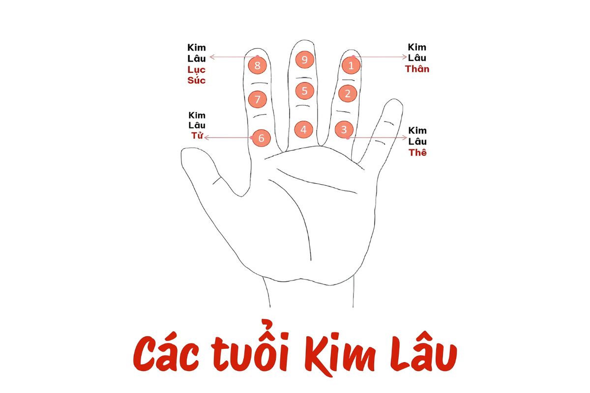 Bốn loại Kim Lâu Thân, Thê, Tử và Lục Súc mang những cách luận giải khác nhau trong phong thủy dân gian  (Ảnh: Sưu tầm)
