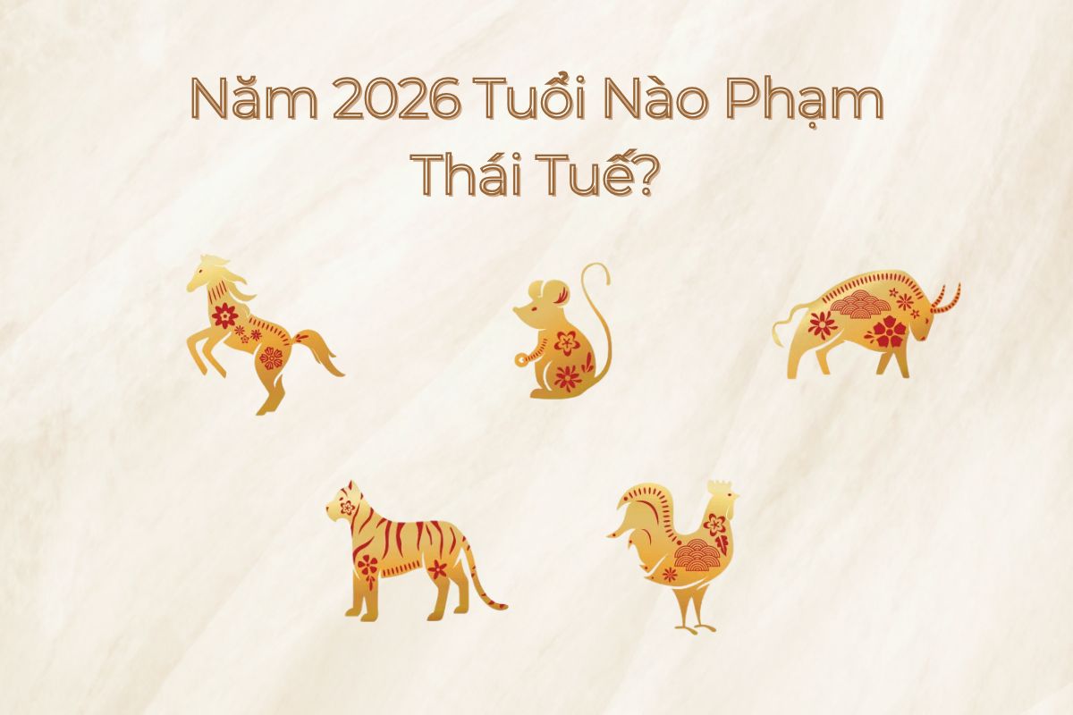 Bảng tổng hợp giúp gia chủ nhanh chóng xác định năm 2026 tuổi nào phạm Thái Tuế và loại phạm tương ứng (Ảnh: Sưu tầm)