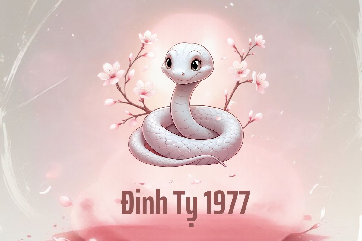 Tuổi 1977 xây nhà năm 2026 tháng nào tốt? Phân tích chi tiết và cảnh báo hạn Hoang Ốc 2 Tìm hiểu bản mệnh, tuổi mụ và cung phi là bước đầu để xác định tuổi Đinh Tỵ 1977 xây nhà năm 2026 tháng nào tốt (Ảnh: Sưu tầm)