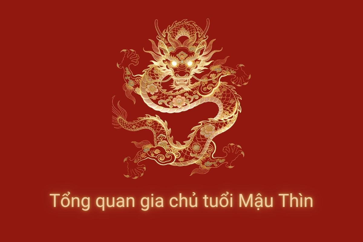 Mậu Thìn 1988 xây nhà năm 2026 có yếu tố Thủy sinh Mộc thuận về ngũ hành, nhưng vẫn cần xét đầy đủ các hạn phong thủy quan trọng  (Ảnh: Sưu tầm)