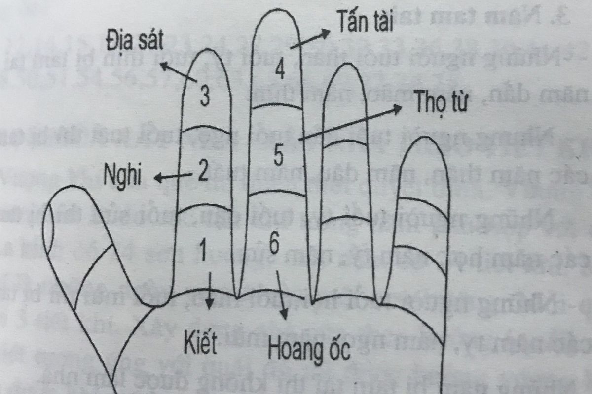 Mậu Thìn 1988 xây nhà năm 2026 có yếu tố Thủy sinh Mộc thuận về ngũ hành, nhưng vẫn cần xét đầy đủ các hạn phong thủy quan trọng  (Ảnh: Sưu tầm)