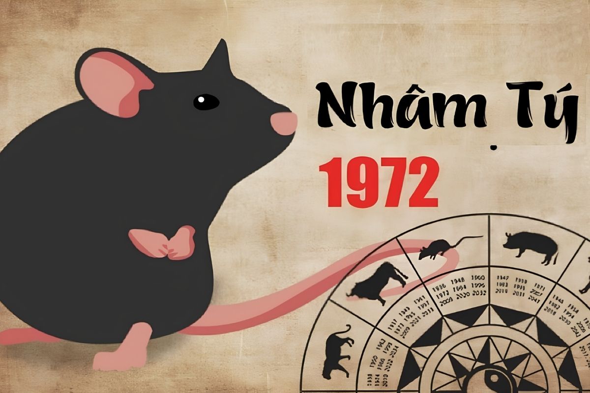 Tổng quan phong thủy tuổi Nhâm Tý 1972 giúp gia chủ có cơ sở đánh giá mức độ thuận lợi khi xây nhà trong năm Bính Ngọ (Ảnh: Sưu tầm)